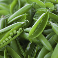 मटर (Peas)