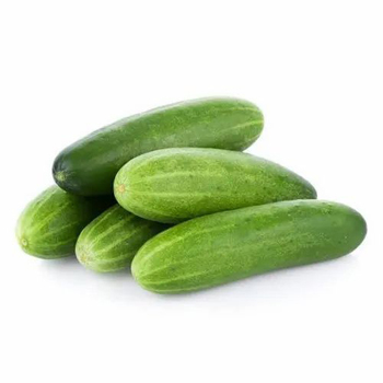 Buy Now खीरा / ककड़ी (CUCUMBER)